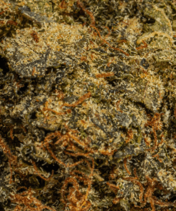 Moonwalker (AA+) - Image 3