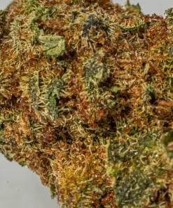 (Smalls) Nuken (AA) - Image 5