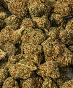 (Smalls) Nuken (AA) - Image 4