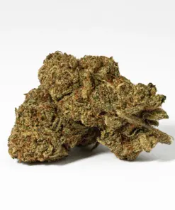 Orange Octane (AA) - Image 1