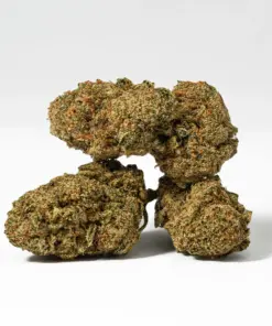 Orange Octane (AA) - Image 2