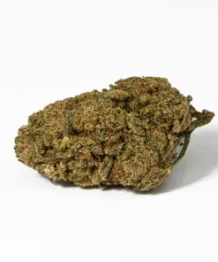 Orange Octane (AA) - Image 3