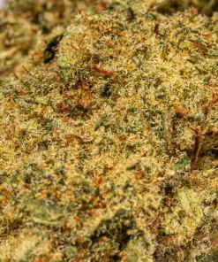 Orange Octane (AA) - Image 5