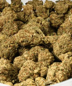 Orange Octane (AA) - Image 4