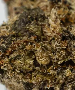 (Smalls) Oreoz (AA) - Image 4