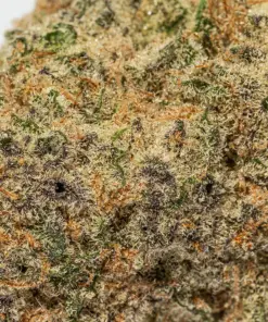 Peach Colada (AAAA+) - Image 4