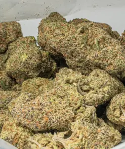 Peach Colada (AAAA+) - Image 5