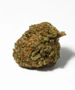 Penelope (AA) - Image 3