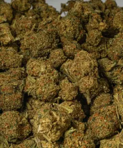 Penelope (AA) - Image 5