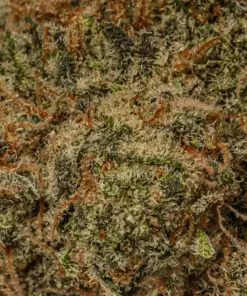 Peyote Cookies (AAAA) - Image 5