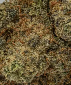 Platinum OG (AAAA) - Image 5