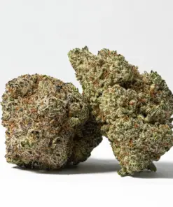 Poison Fruit (AAA+) - Image 1