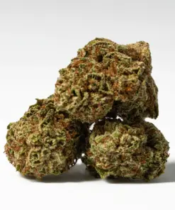 (Smalls) Raspberry Parfait (AA) - Image 3