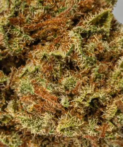 (Smalls) Raspberry Parfait (AA) - Image 5