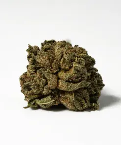 (Smalls) Red Octane (AA) - Image 2