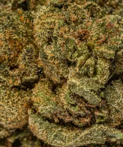 (Smalls) Red Octane (AA) - Image 5