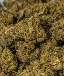 (Smalls) Red Octane (AA) - Image 4