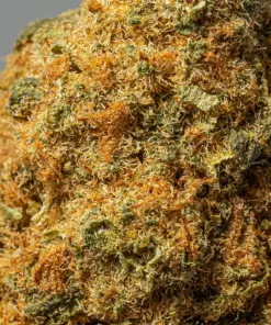 Royal Kush (AA) - Image 5