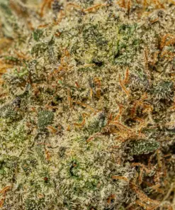 Skywalker OG (AAA) - Image 5