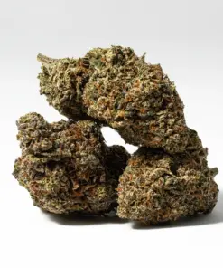 Sunburst (AA+) - Image 3