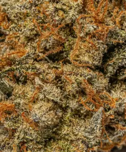 Sunburst (AA+) - Image 5