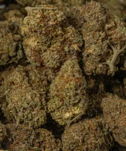 Sunburst (AA+) - Image 4