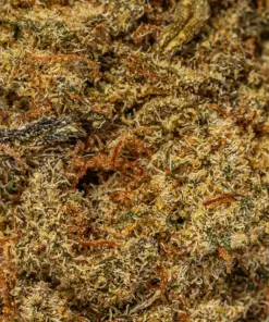 Sweet Tooth (AA) - Image 5