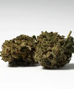 (Smalls) Tuna Kush (AAAA) - Image 1