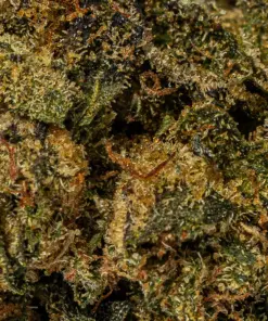 (Smalls) Tuna Kush (AAAA) - Image 5