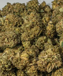 (Smalls) Tuna Kush (AAAA) - Image 4