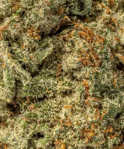 Wedding Cake (AA+) - Image 4