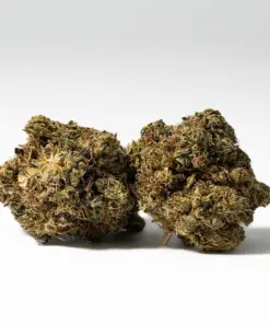 White Death (AAA) - Image 1