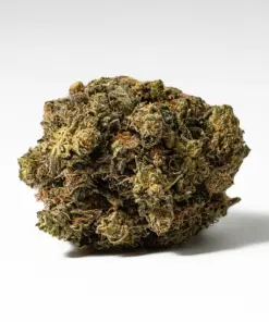 White Death (AAA) - Image 2