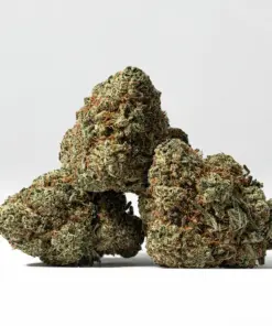 White Thunder (AAA+) - Image 3