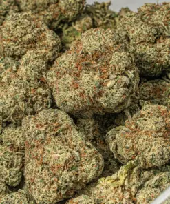 White Thunder (AAA+) - Image 4