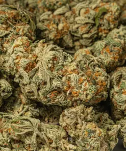 White Widow (AA+) - Image 4