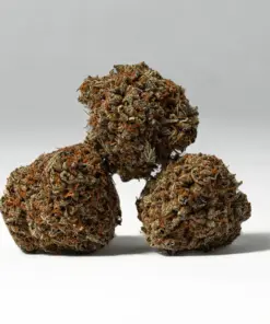 Wookies (AA) - Image 3