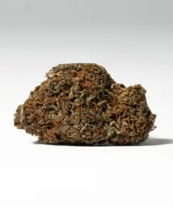 Wookies (AA) - Image 2