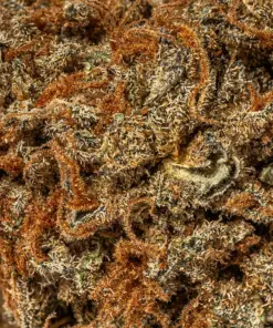 Wookies (AA) - Image 5