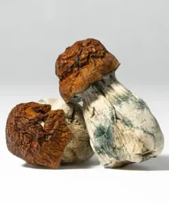 Blue Meanies Mushrooms