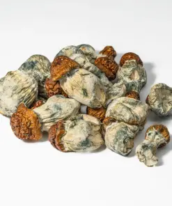 Blue Meanies Mushrooms - Image 4