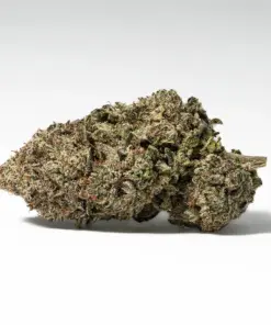 Raspberry Punch (AAA+) - Image 3