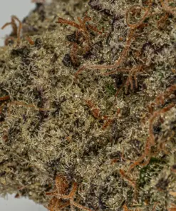 Raspberry Punch (AAA+) - Image 4