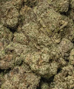 Raspberry Punch (AAA+) - Image 5