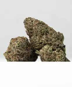 Shishkaberry (AAAA) - Image 1