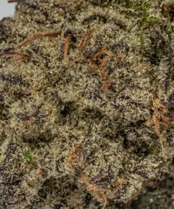 Shishkaberry (AAAA) - Image 5