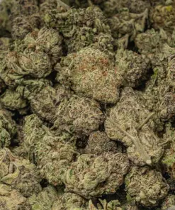 Shishkaberry (AAAA) - Image 4