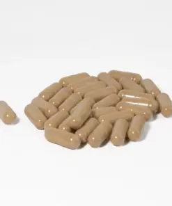 Shroomology Microdose Capsules - Daylight - Image 4