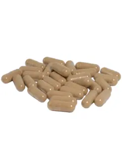 Shroomology Microdose Capsules - Drift - Image 4