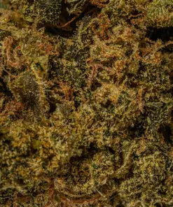 Strawberry AA (Promo) - Image 5